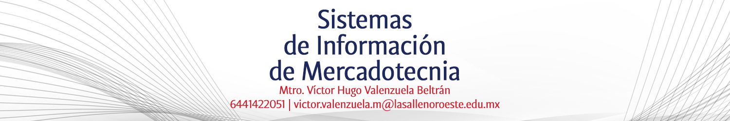 Sistemas De Información De Marketing_IT031041_2025-1